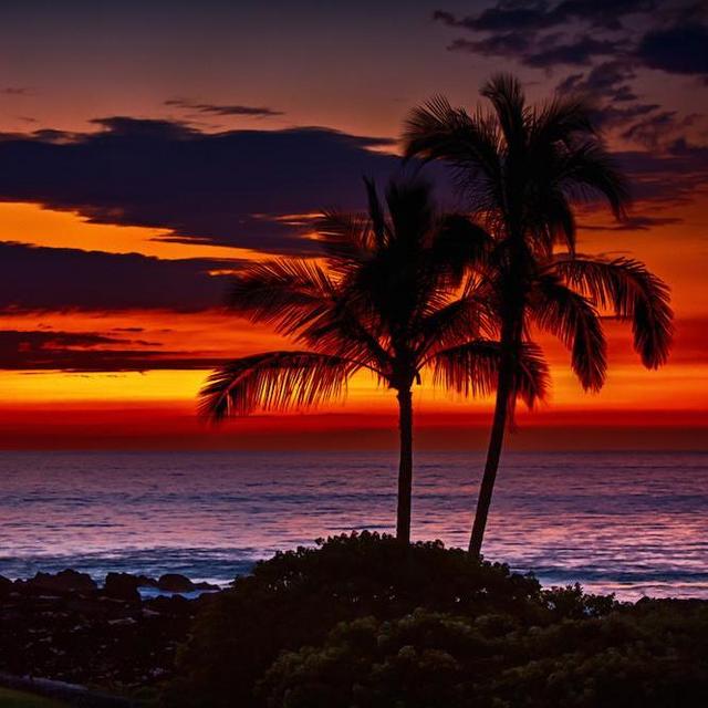 Hawaii Honeymoon Fund