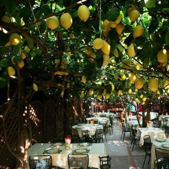 Da Paolino Restaurant (Capri, Italy)