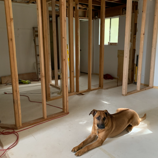 Our Home Renovation Fund