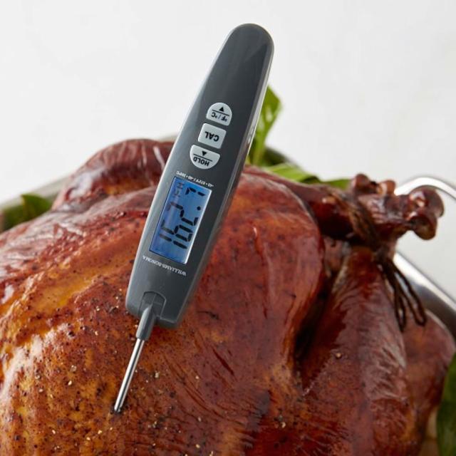Williams-Sonoma Thermocouple Thermometer