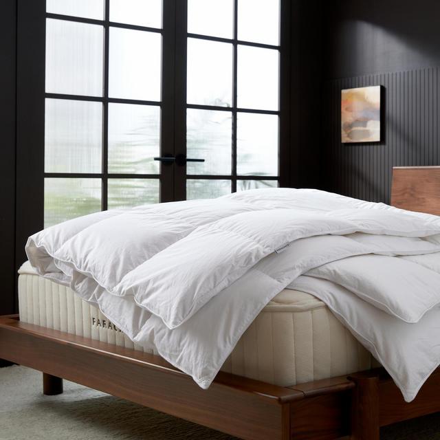 Down Duvet Insert