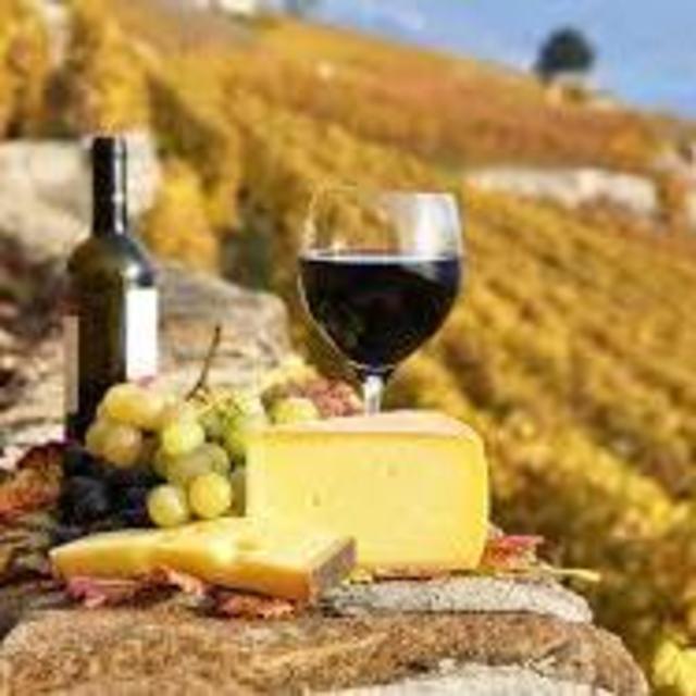 Wine Tasting in Tuscany