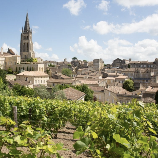 Wine Tasting Montalcinos and Montepulcianos