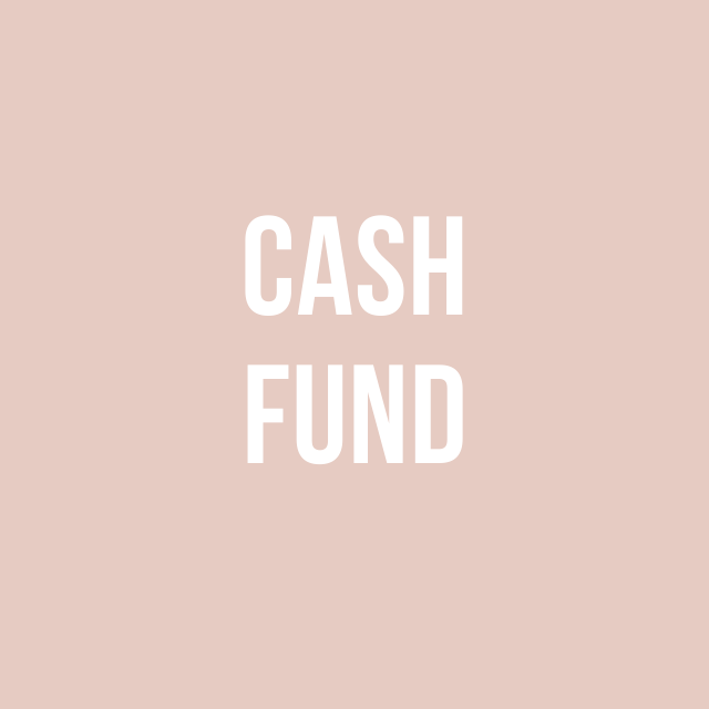 Our Newlywed Fund