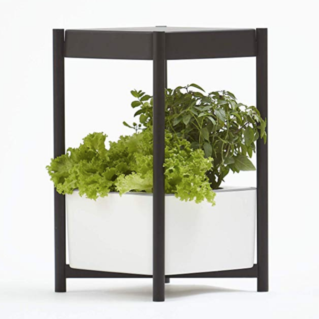 Miracle-Gro Twelve Indoor Growing System