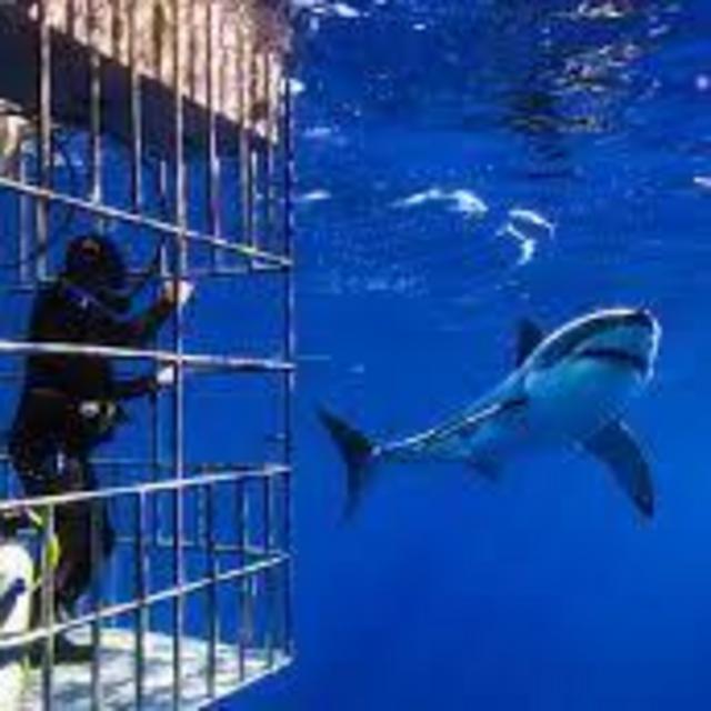 Ariana Famouri and Branden Murray's Wedding Registry on Zola