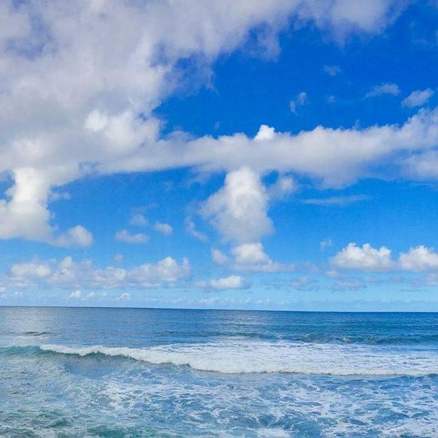 Hawaiian Excursion