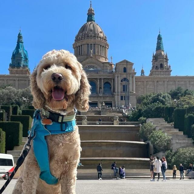 Barcelona & Spain Experiences Fund