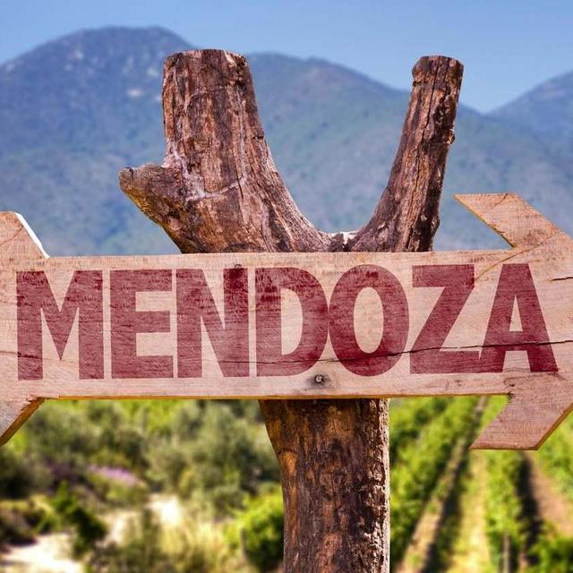 A Wine Tour Day Trip In Mendoza!
