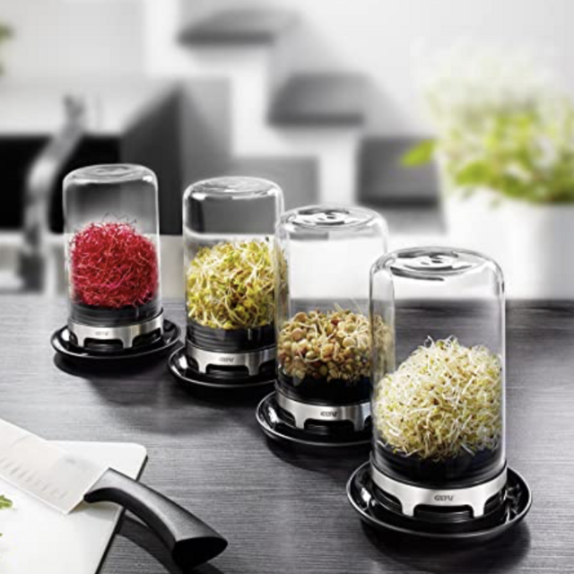 Sprouting Jar