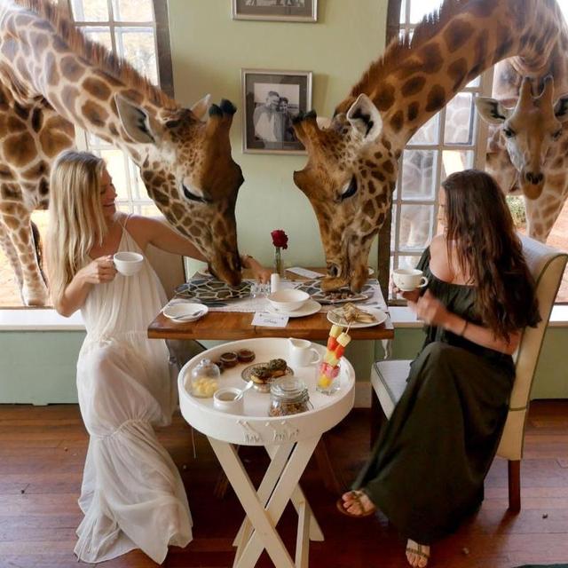 Bucketlist: Night at the Giraffe Manor Hotel