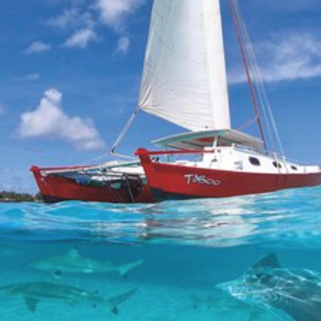 Moorea Snorkeling Adventure