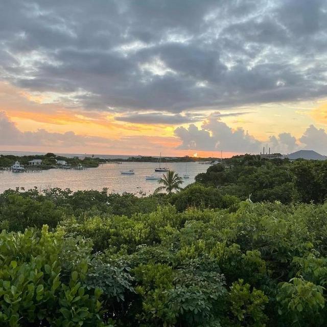 Costa Rica Honeymoon Fund