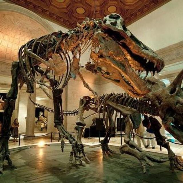 LA Natural History Museum Dual Membership (One Year)