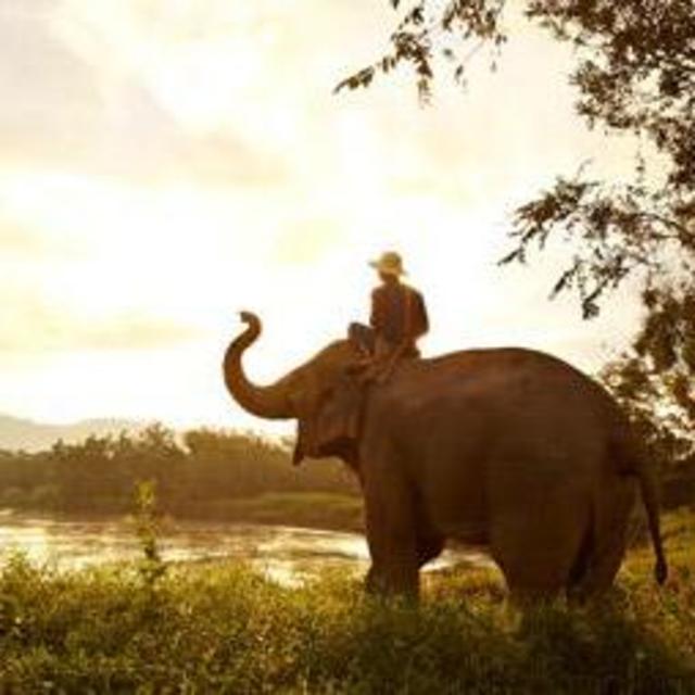 Sunset Elephant Trek