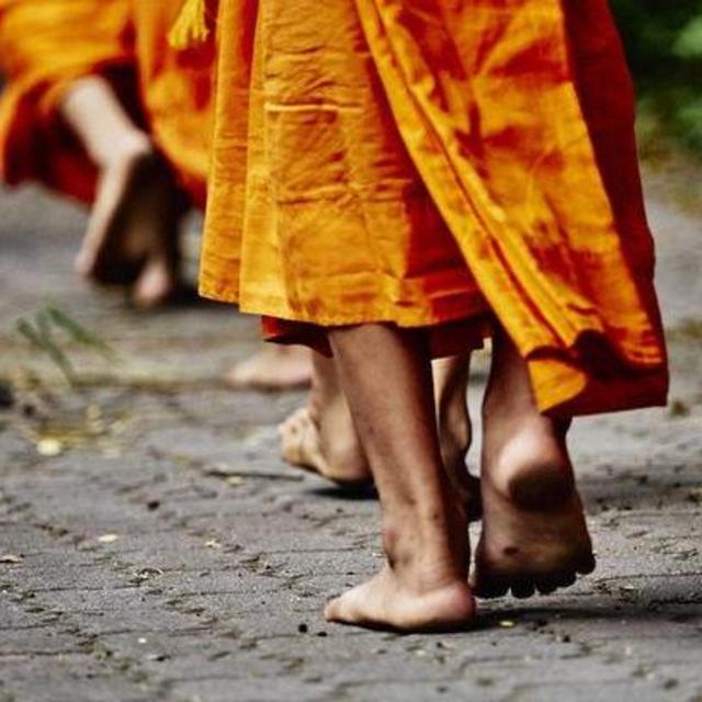 Morning Buddhist Almsgiving and Temple Tour in Chiang Mai