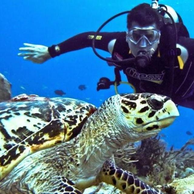 SCUBA Diving in Phuket