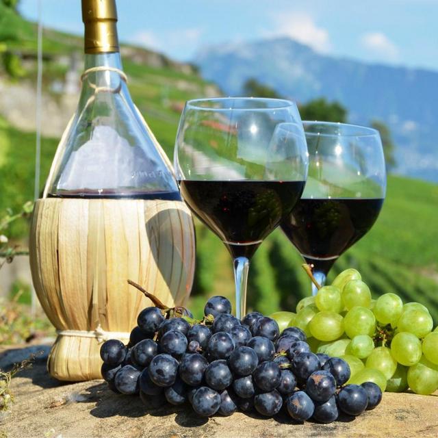 Tuscany Wine Tasting