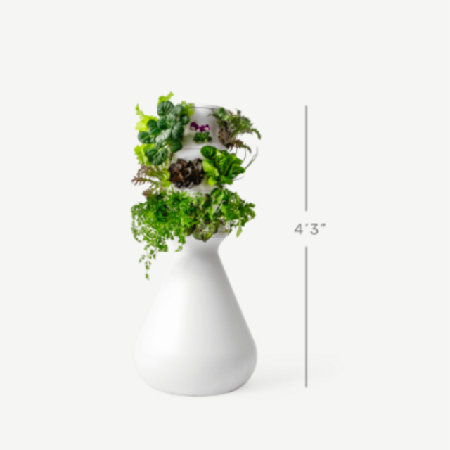 The Farmstand from Lettuce Grow