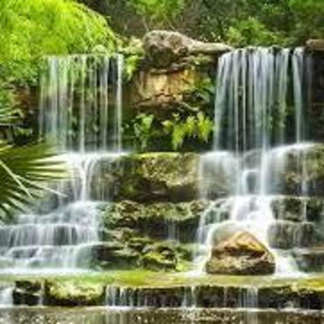 Year membership for 2 to Zilker Botanical Garden
