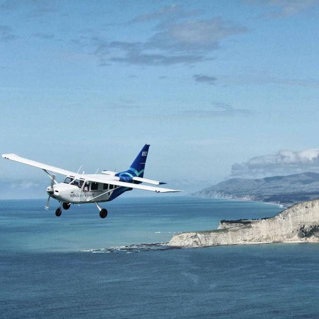 Kaikoura, NZ - Wings Over Whales