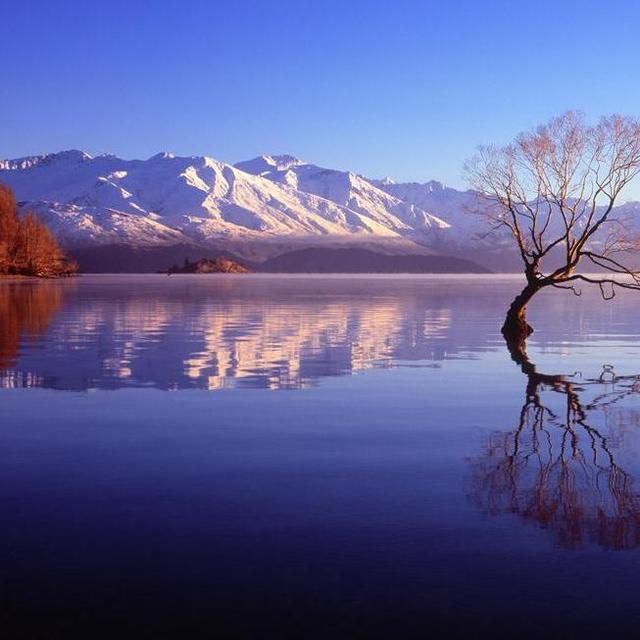 Wanaka, NZ - Eco Lake Cruise and Nature Walk