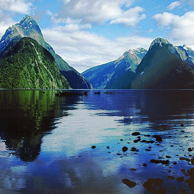 Queenstown, NZ - Milford Sound Nature Cruise