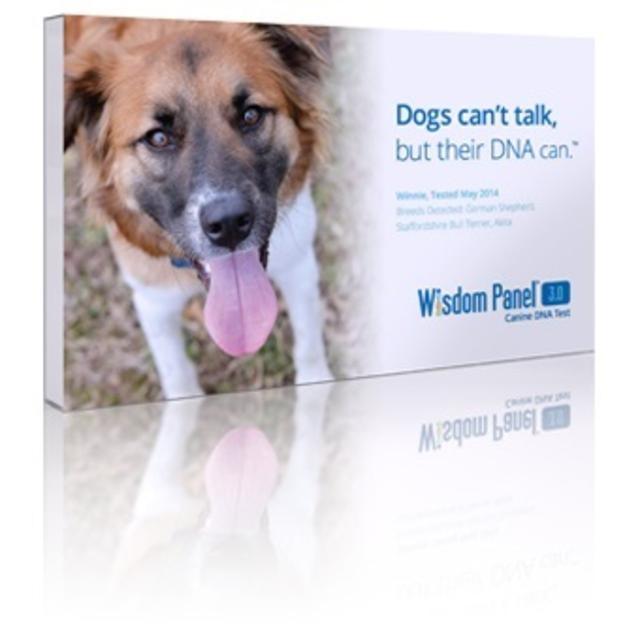 Wisdom Panel