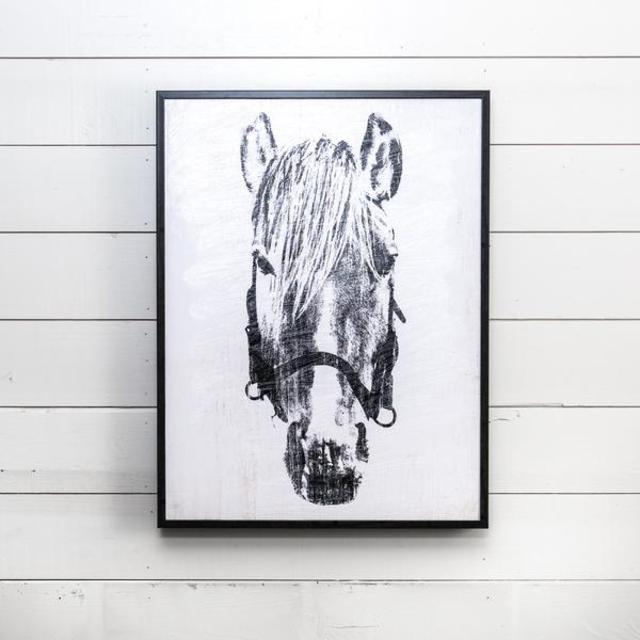 Framed "Dolly" Horse Head