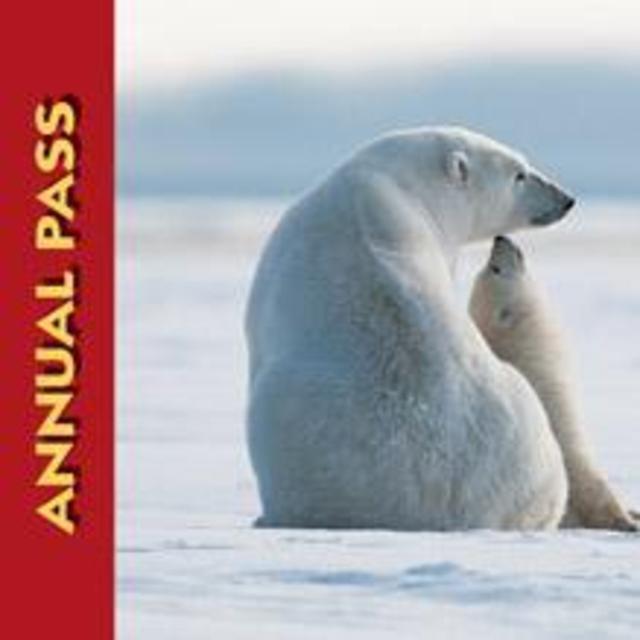 America the Beautiful Passes