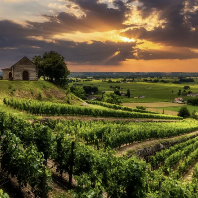 Wine Tasting in France (Honeymoon) - $100