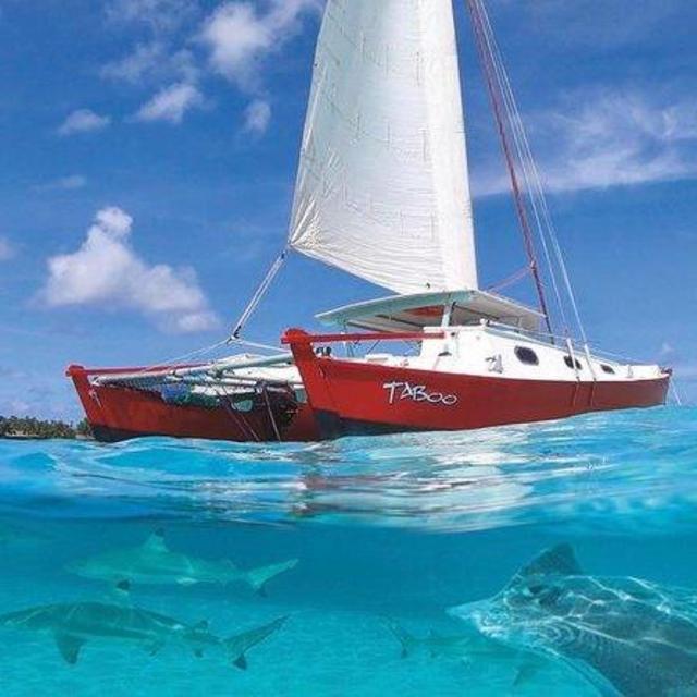 Sailing on a Catamaran in Moorea