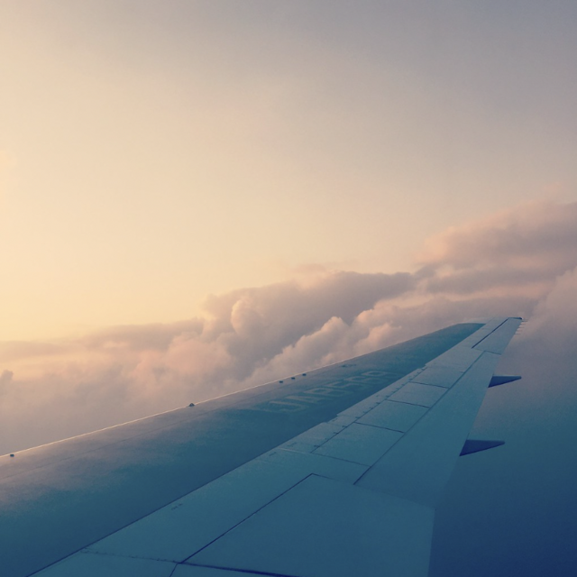 Honeymoon: airfare for the way back