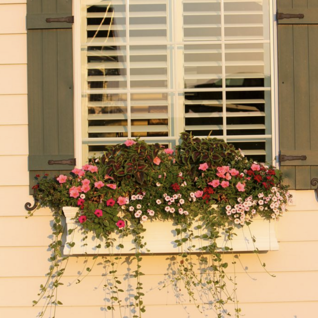 Our Home Renovation Fund