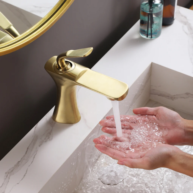 Venmo Fund: Bathroom Remodel