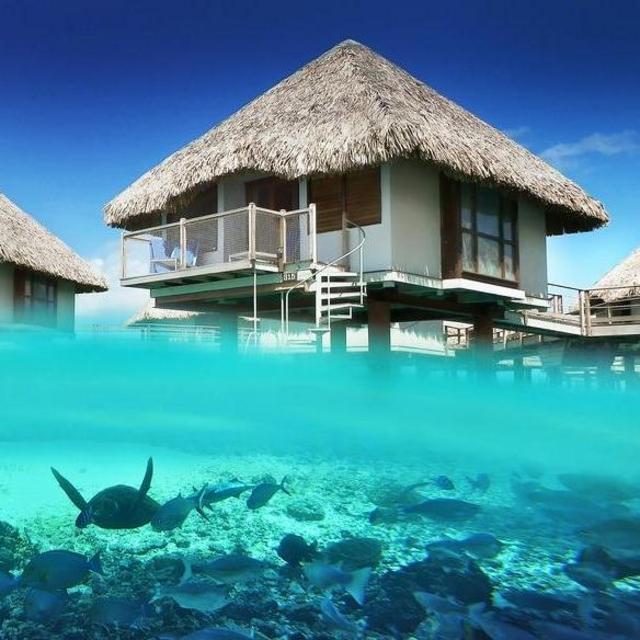 5 Night Stay In Honeymoon Hotel