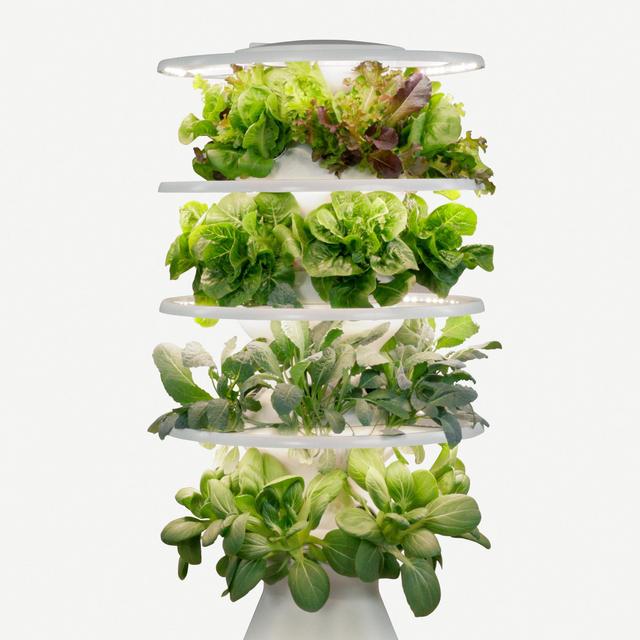 LettuceGrow Indoor Garden