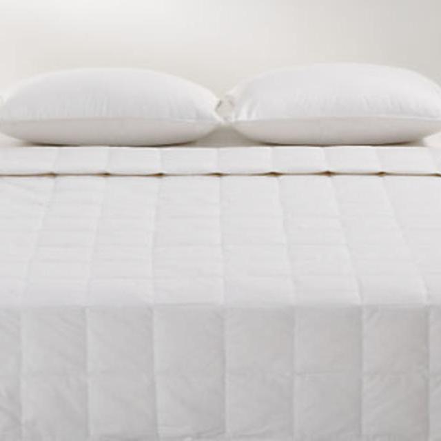 Room & Board: Down Duvet Filler Moderate (Size: QUEEN) $199.00