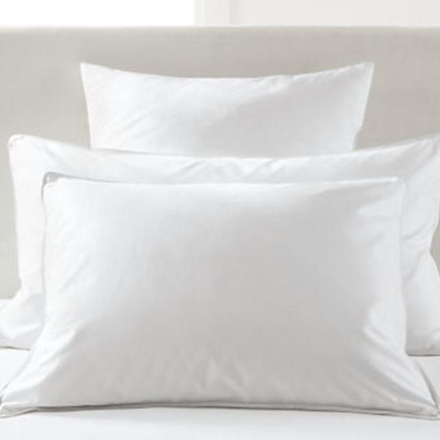 Room & Board: Feather Down Pillows -STANDARD SIZE $69.00 each (Request 2)