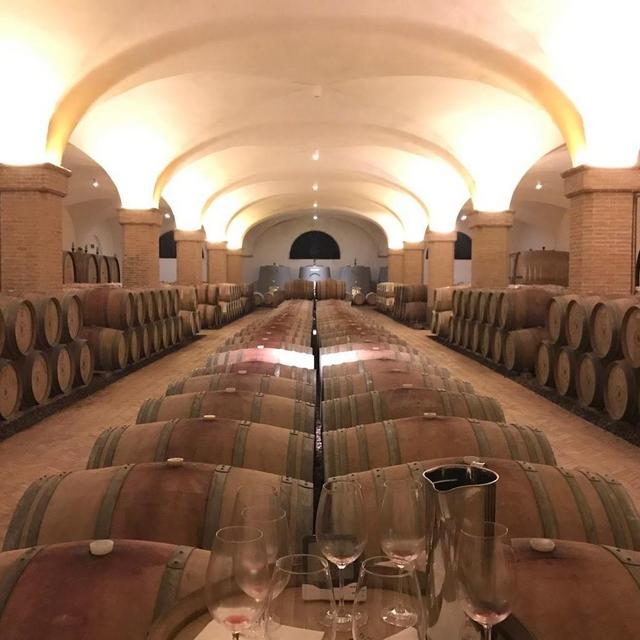 Wine tasting day in Tuscany (Day 2)