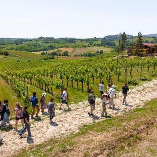 Tuscany Day Trip from Florence: Siena, San Gimignano, Pisa and Lunch at a Winery