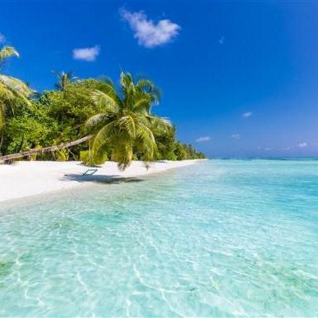 Honeymoon Fund