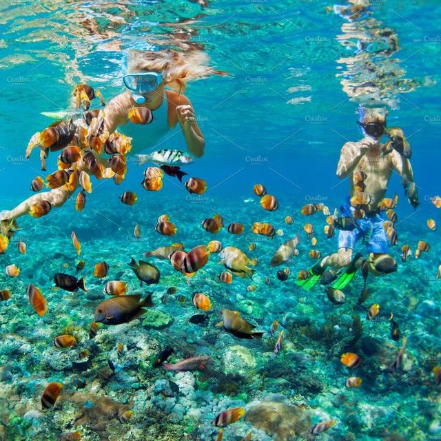 Tahiti - Snorkel Excursion