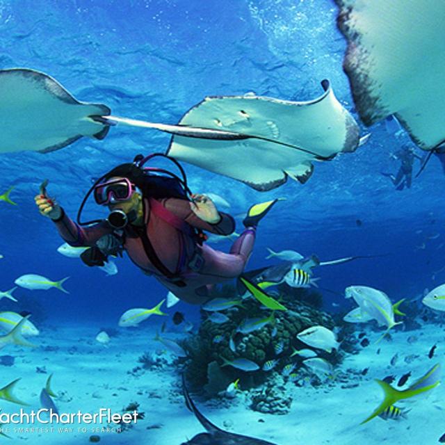 Tahiti - Scuba Diving Excursion