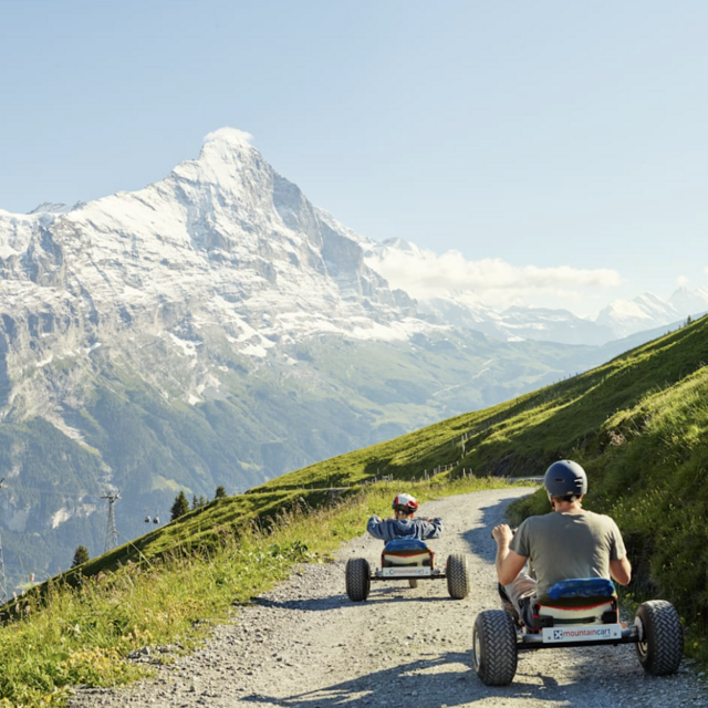 Mountain Cart in Switzerland