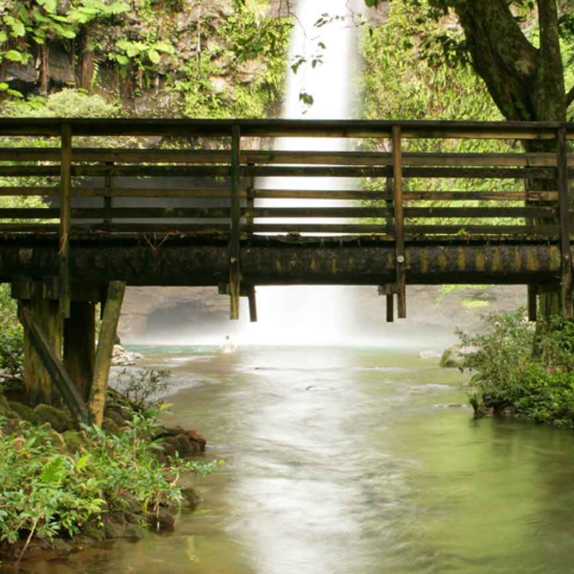 Honeymoon Excursion - Taveuni Island Day Tour