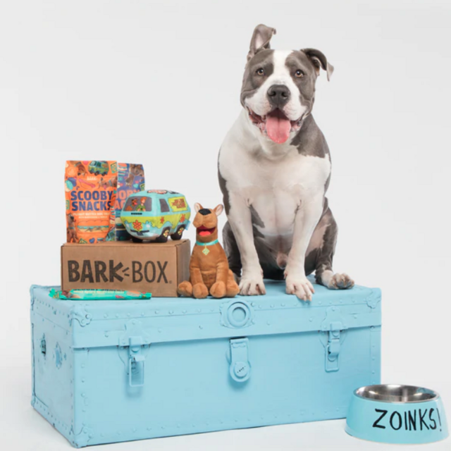Bark Box for Wrigley for 3 months!