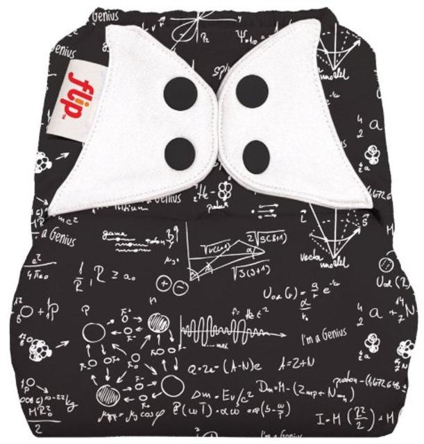 flip Cloth Diaper Cover - Snap - Albert - One Size
