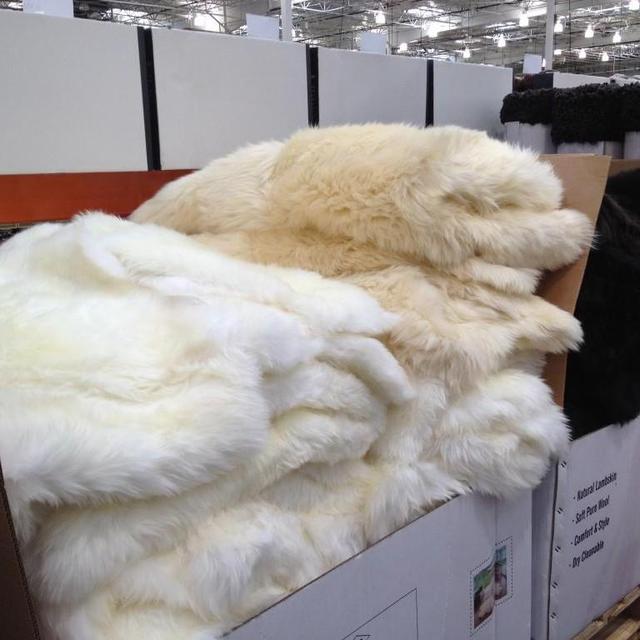 Costco sheep/lambskin rug (larger than ikea!)