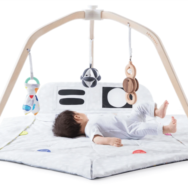 Loveevery - The Play Gym